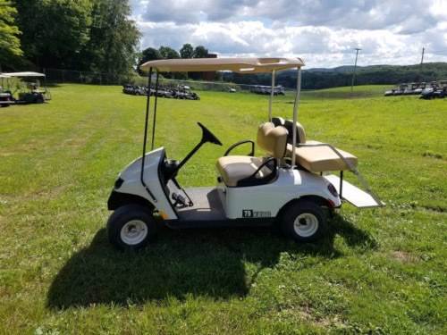 4-passenger cart